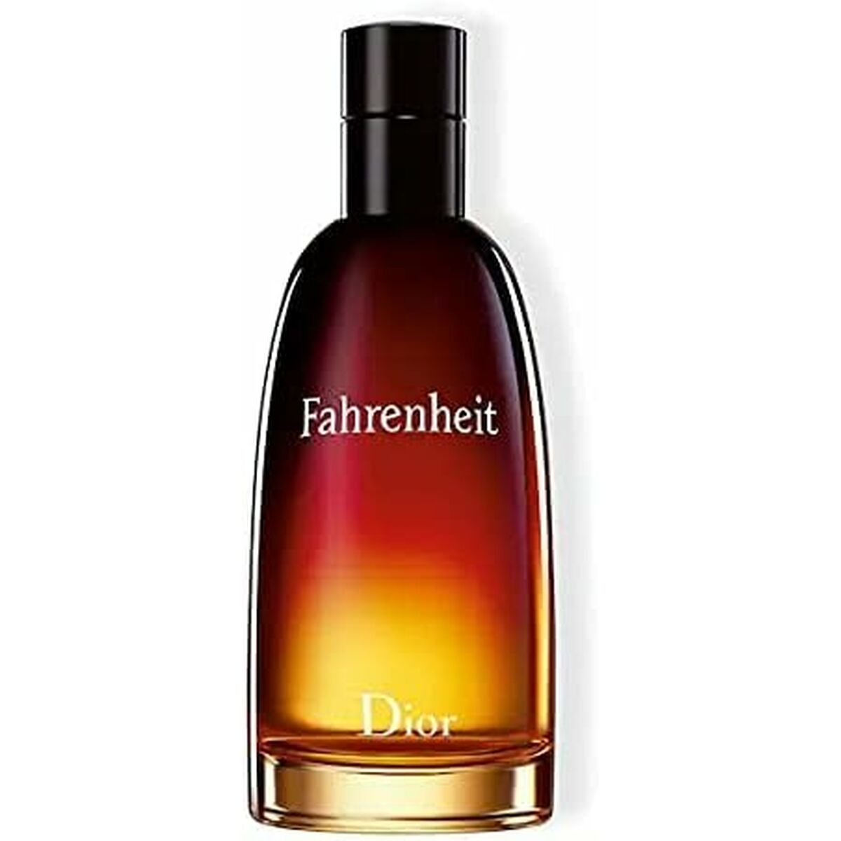 Men's Perfume Dior Fahrenheit EDT 100 ml